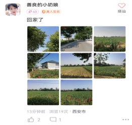 探蜜约会 探蜜约会