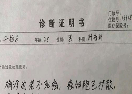 诊断报告生成器app