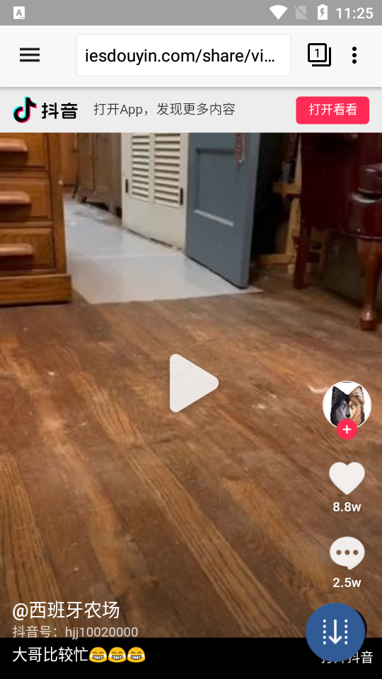 网页下载器GetThemAll app手机版