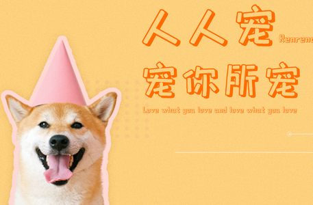 人人宠 人人宠