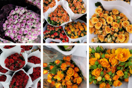 批花网鲜花订购app 批花网鲜花订购app