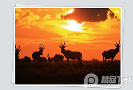 国家地理每日精选软件 国家地理每日精选软件