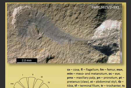 慢读软件最新版 慢读软件最新版