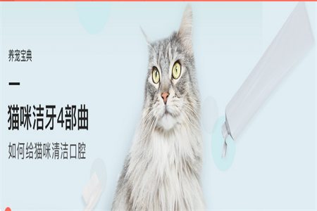 波奇宠物用品平台 波奇宠物用品平台