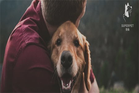 共宠客户端 共宠客户端