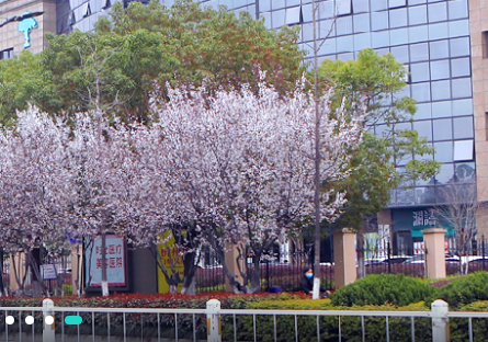 树兰医生客户端 树兰医生客户端
