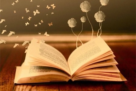 新文道教育APP 新文道教育APP