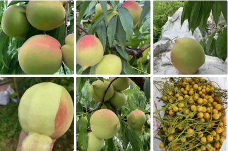 腾讯为村平台 腾讯为村平台