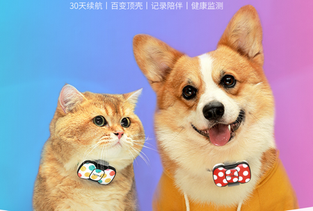 陪彼宠物