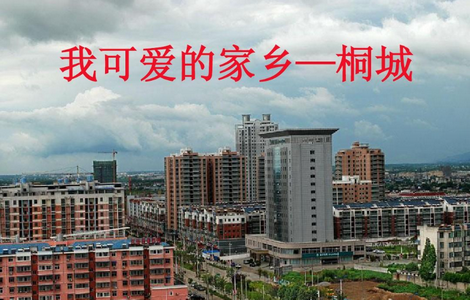 出彩桐城APP