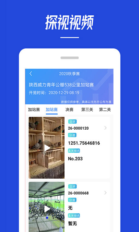 青鸽网APP