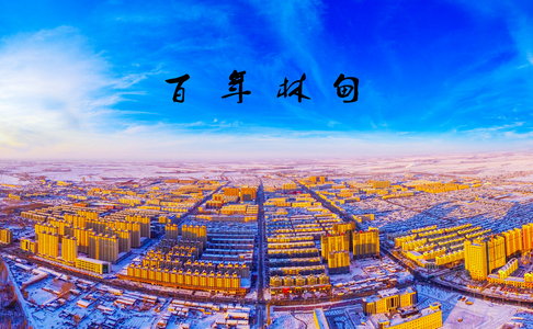 掌上林甸APP