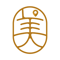 去哪美app安卓版下载