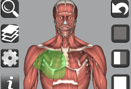 3D Anatomy安卓付费版 3D Anatomy安卓付费版