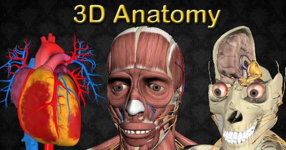 3D Anatomy安卓付费版 3D Anatomy安卓付费版