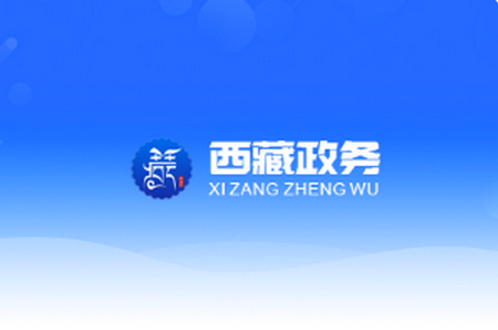 **政务app