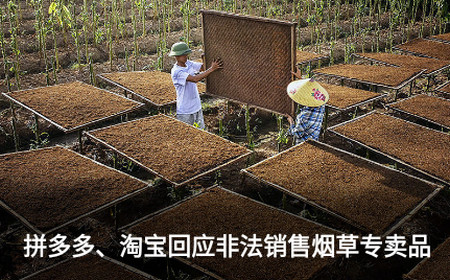 证券日报手机版 证券日报手机版