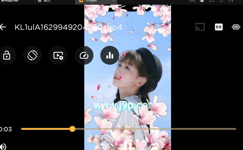 TPlayer播放器全能格式 TPlayer播放器全能格式