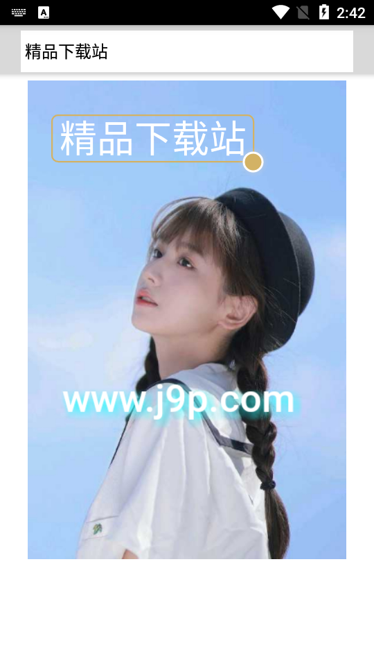 花边艺术设计师Rhonna高级版 花边艺术设计师Rhonna高级版