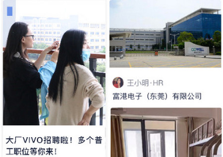 熊猫进厂最新版 熊猫进厂最新版