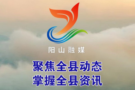 今日阳山app安卓端