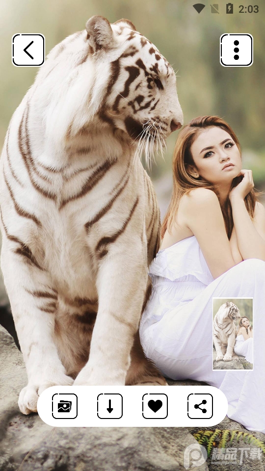 HD壁纸高清动态4k壁纸 HD壁纸高清动态4k壁纸