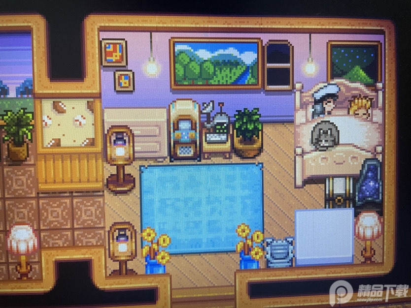 星露谷物语**api版本Stardew Valley