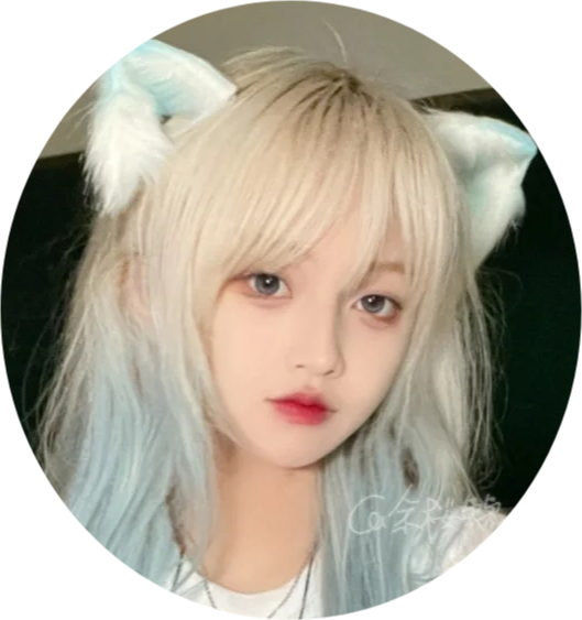 女帝本传破解版