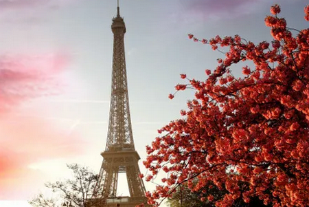 泰格文学app 泰格文学app