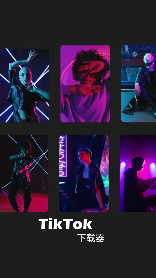 TikTok下载器免费版 TikTok下载器免费版