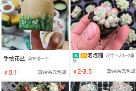 吾花肉