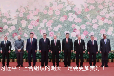 威海人社app 威海人社app