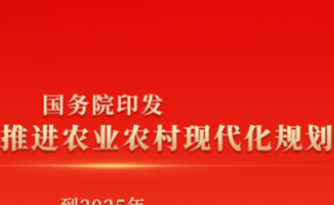 名城头条app