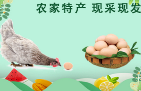 淮滨点点app安卓版 淮滨点点app安卓版