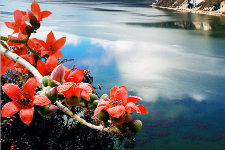 花城智慧公交最新版 花城智慧公交最新版