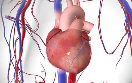 知疾数字健康平台 知疾数字健康平台