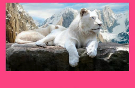 拍照识花神器app 拍照识花神器app