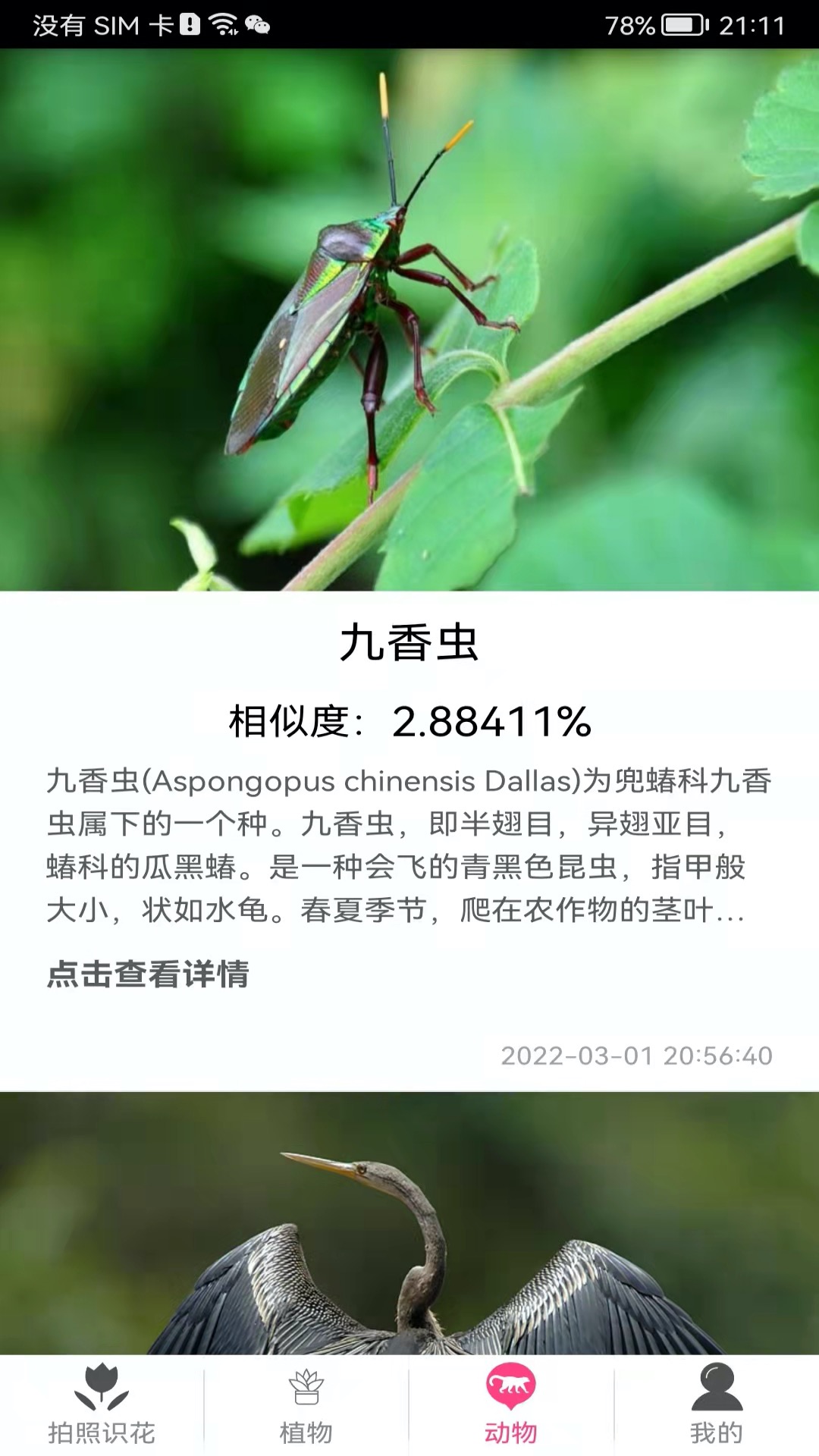拍照识花神器app 拍照识花神器app