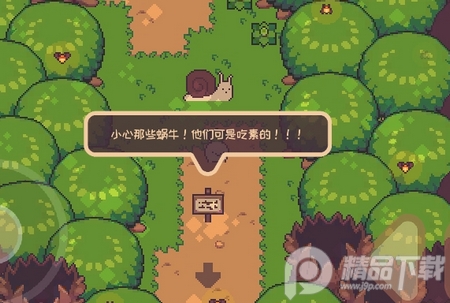 大头菜小子逃税了
