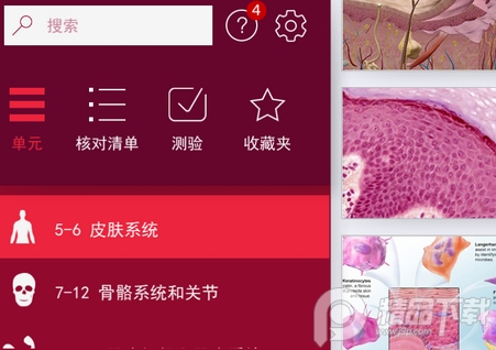 解剖和生理学(Anatomy Physiology), 解剖和生理学(Anatomy Physiology) 解剖和生理学(Anatomy Physiology), 解剖和生理学(Anatomy Physiology)