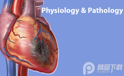 解剖和生理学(Anatomy Physiology), 解剖和生理学(Anatomy Physiology) 解剖和生理学(Anatomy Physiology), 解剖和生理学(Anatomy Physiology)