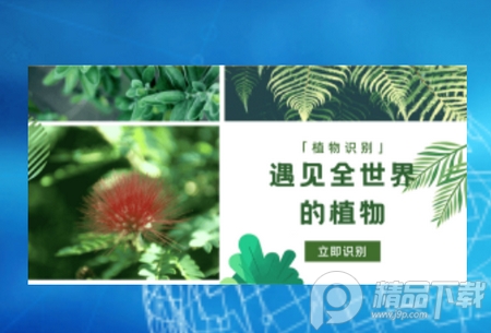 识物通app手机版 识物通app手机版