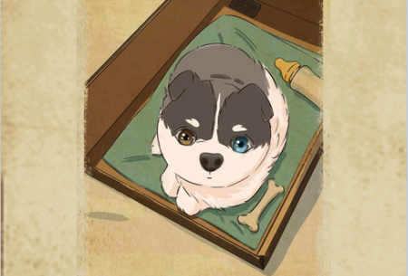 动物酒吧免广告版 动物酒吧免广告版