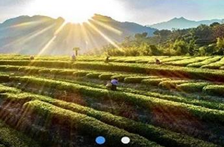 最安溪app安卓版 最安溪app安卓版