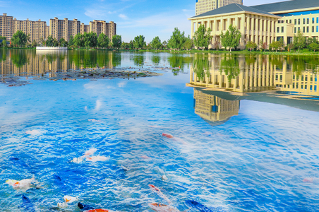 驼运通app官方版 驼运通app官方版