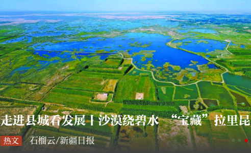 石榴云app官方版