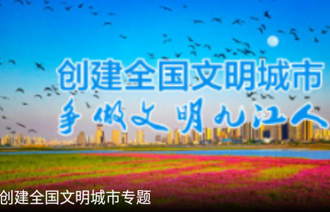 掌中九江app安卓版