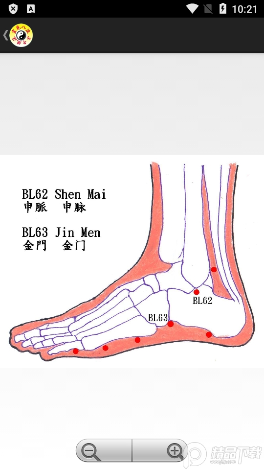 子午灵龟安卓免费版免更新