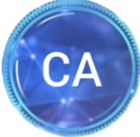 CA炸图辅助器免root