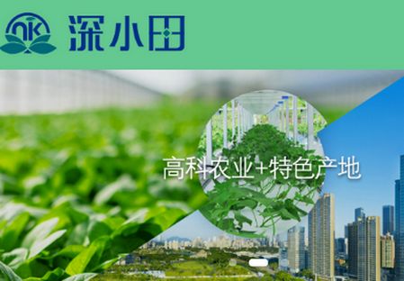 深小田app官方安卓版 深小田app官方安卓版